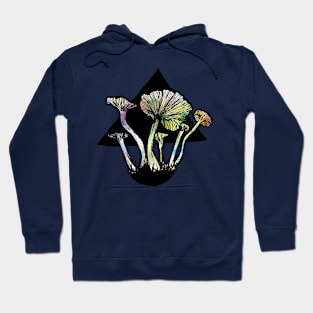 Funnel Chantarelles Hoodie